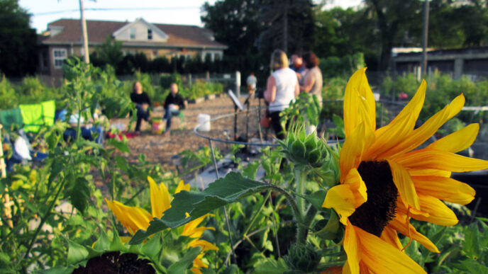 Sunflowers bloom in the foreground as gardeners work at the Peterson Garden|LaManda Joy next to a raised bed in her yard garden|A sign in a garden plot at Peterson Garden reads ‘Plant Kindness
