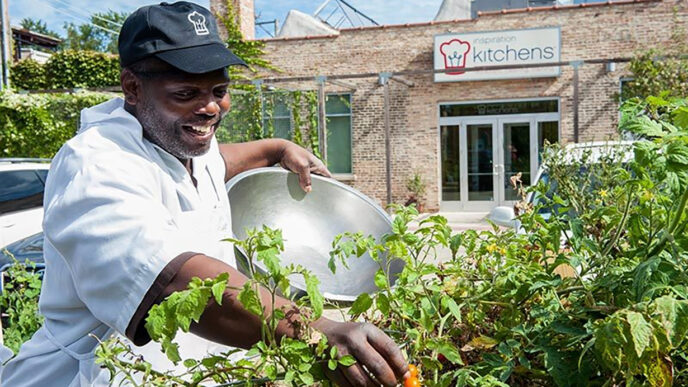A man wearing a chef’s coat picks cherry tomatoes from a garden bed