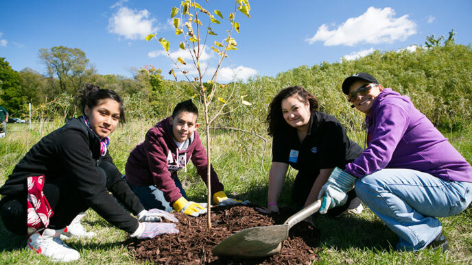 Volunteers planting a tree in Busse Woods.
