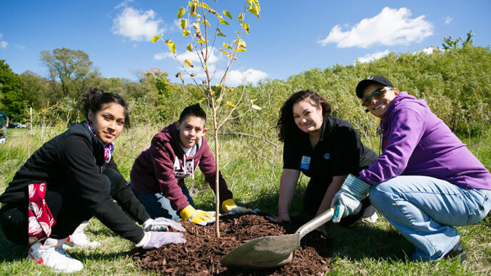 Volunteers planting a tree in Busse Woods