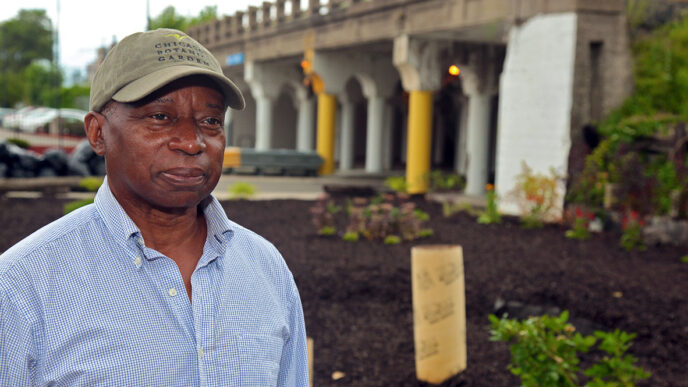 William Hill standing in the garden he's ceased from a vacant lot in Woodlawn||.