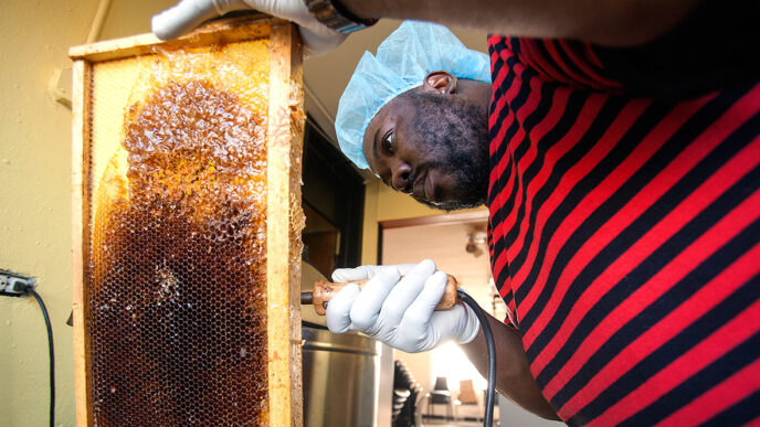 A worker in the Sweet Beginnings program harvests honeycomb from a hive||A warehouse trainee seals small jars of Sweet Beginnings honey.