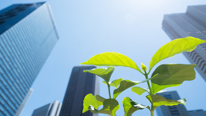 A small green plant shoots up amid an urban skyline|.
