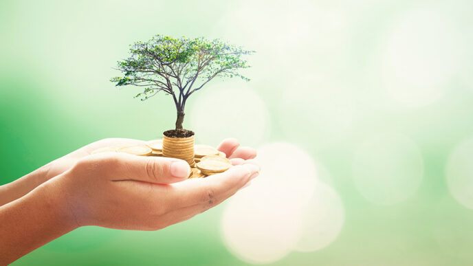 A tree emerges from a stack of gold coins.