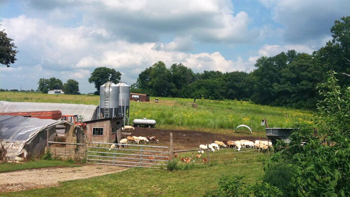 View of farm buildings and fields on a sunny day|Two women standing in front of a meat counter.